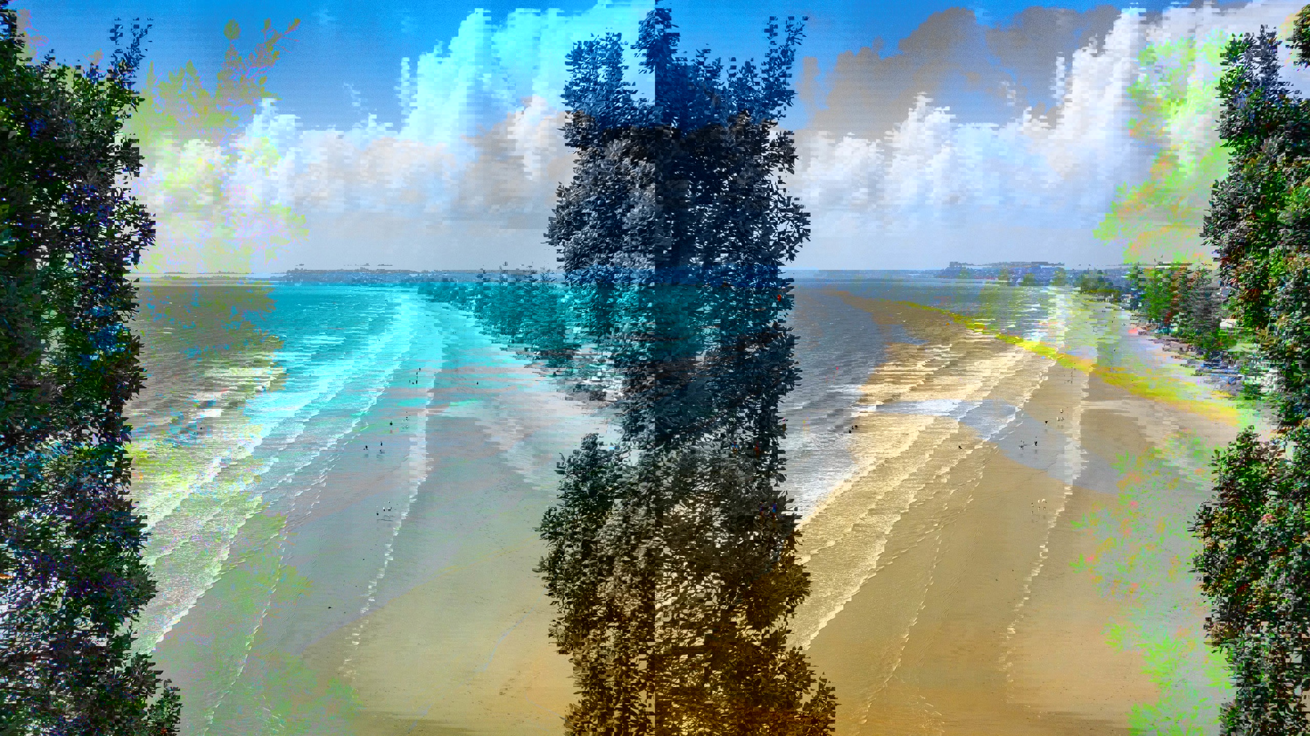 Auckland's Best Beaches | AucklandNZ.com